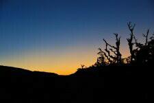 Te Puke dawn
